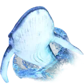 Mergulho da Baleia